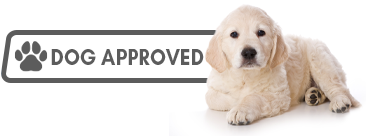 Dog Approved | Groff's Automotive Co.